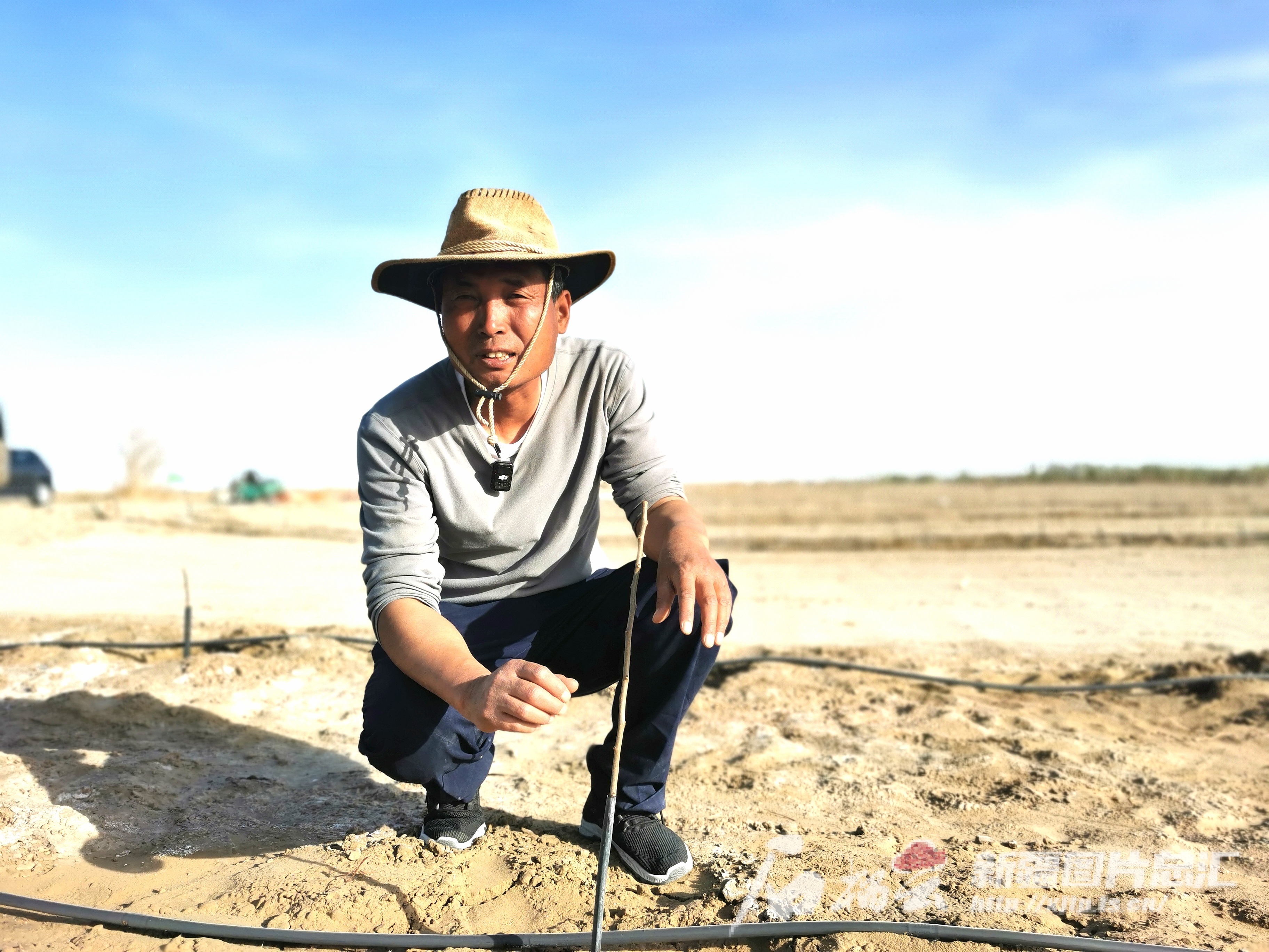 “老兵治沙队”转型种文冠果